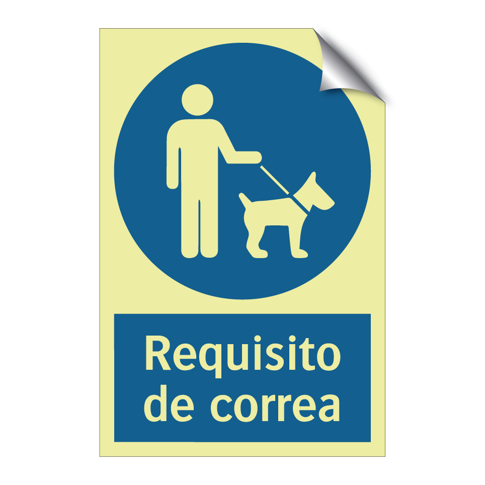 Requisito de correa
