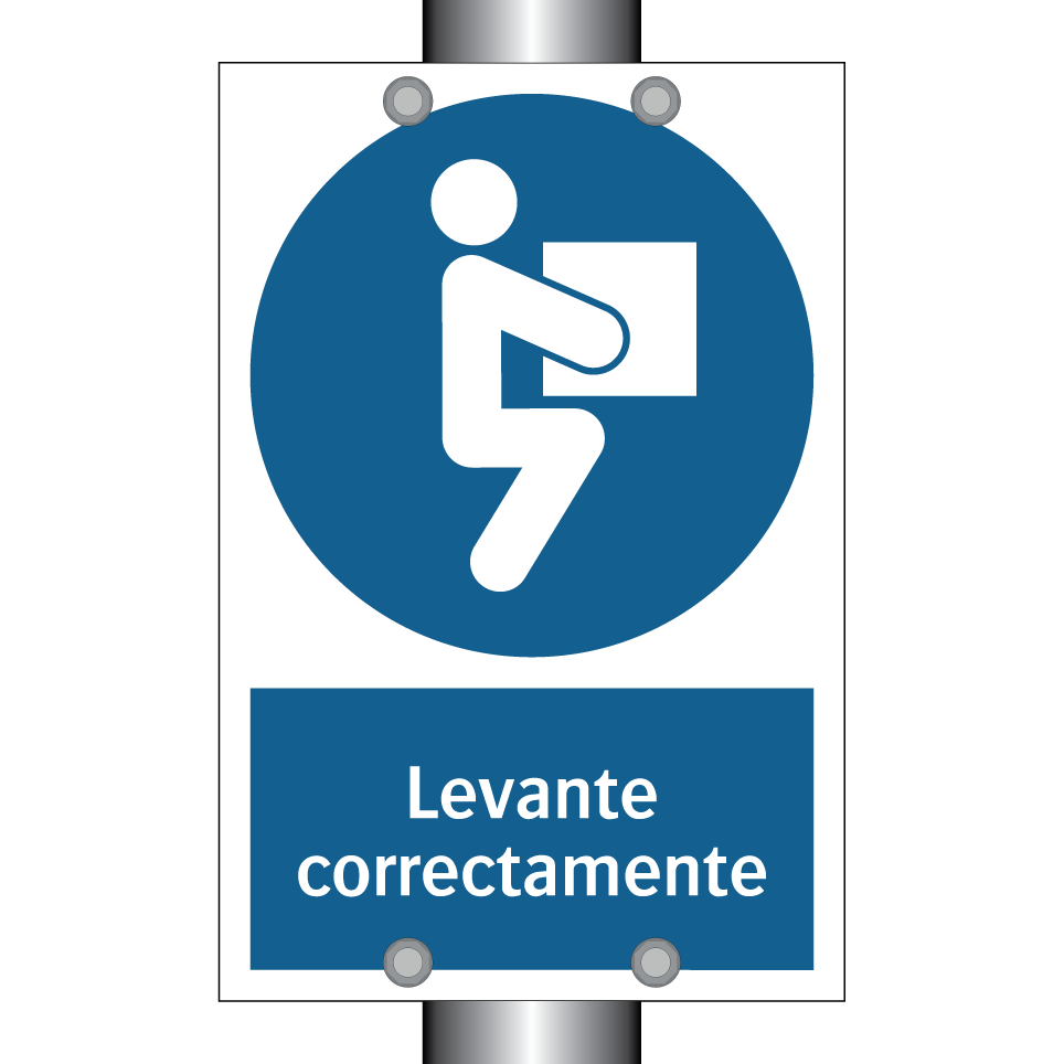Levante correctamente