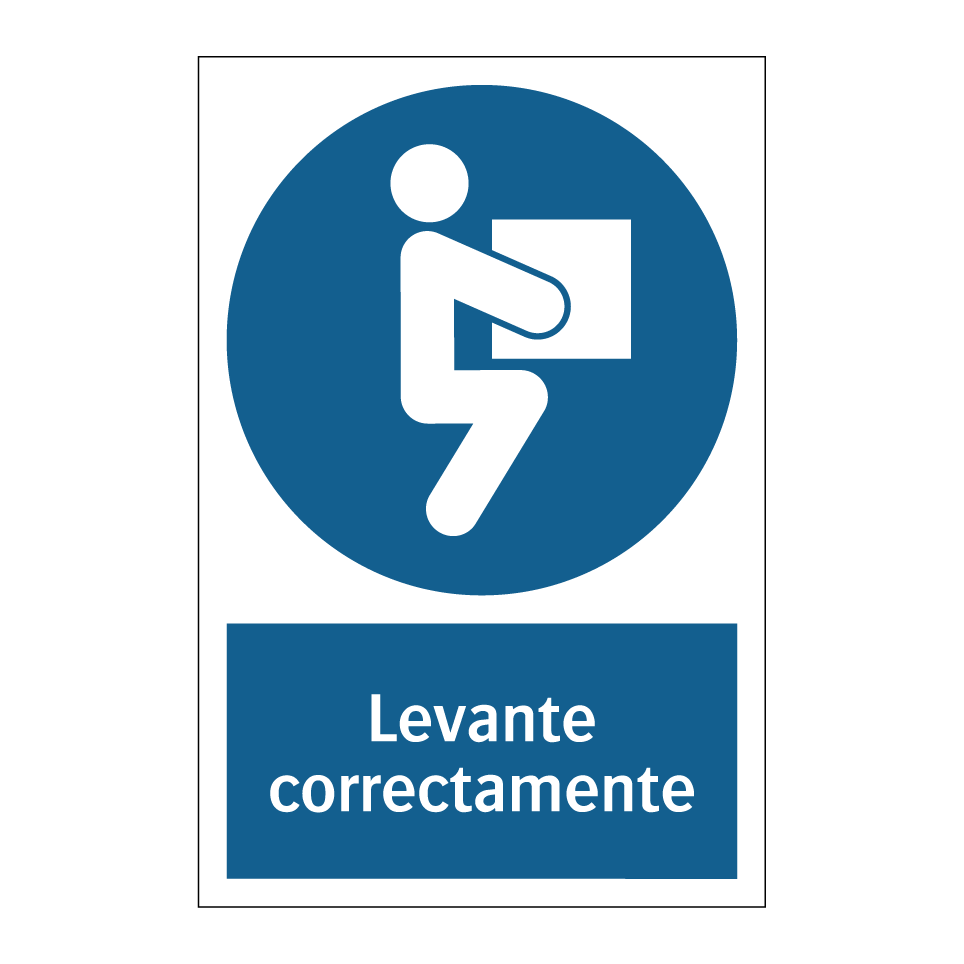 Levante correctamente