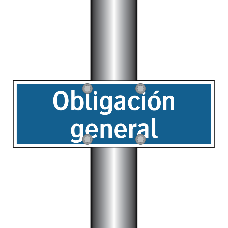 Obligación general