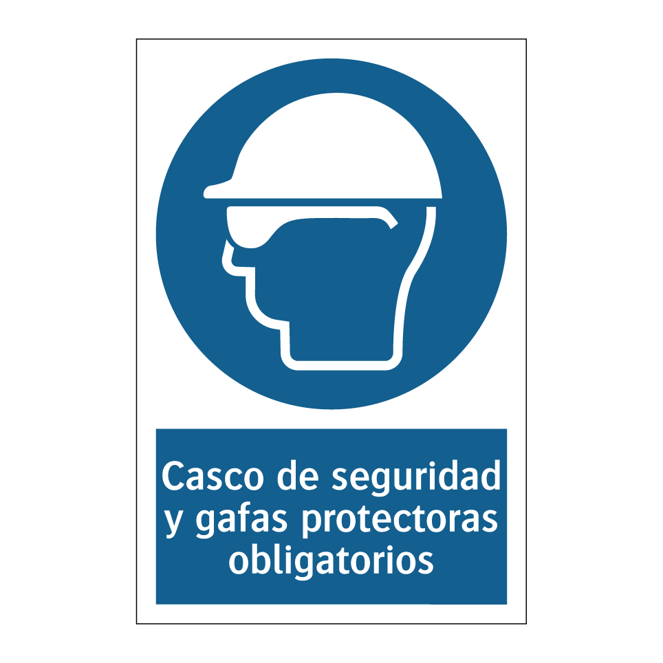 Casco de seguridad y gafas protectoras obligatorios