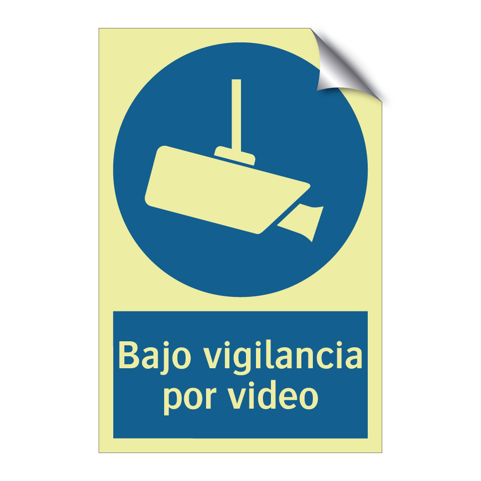 Bajo vigilancia por video