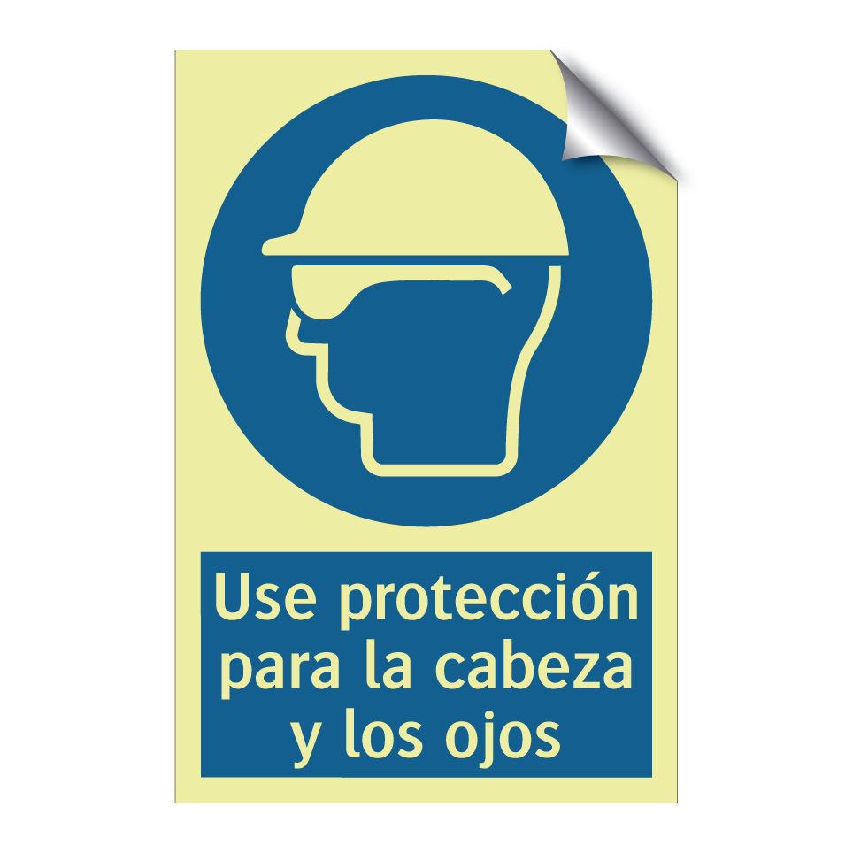 Use protección para la cabeza y los ojos