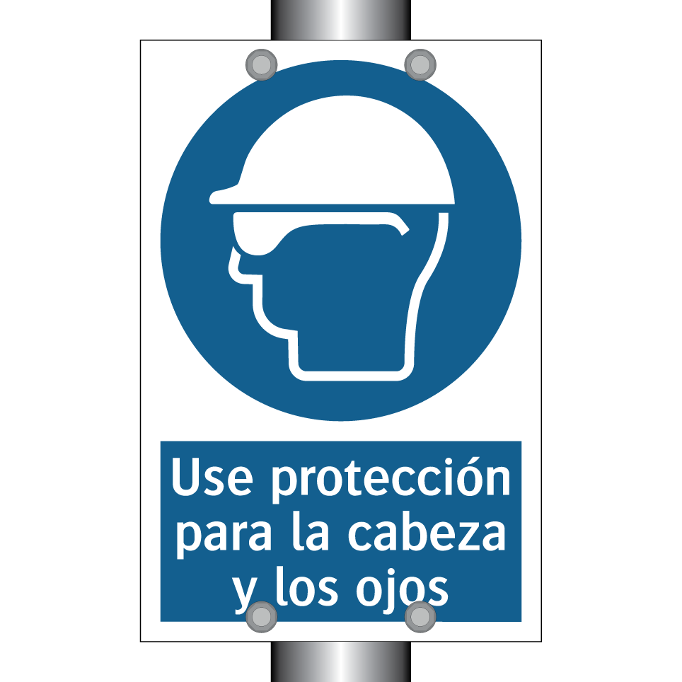 Use protección para la cabeza y los ojos