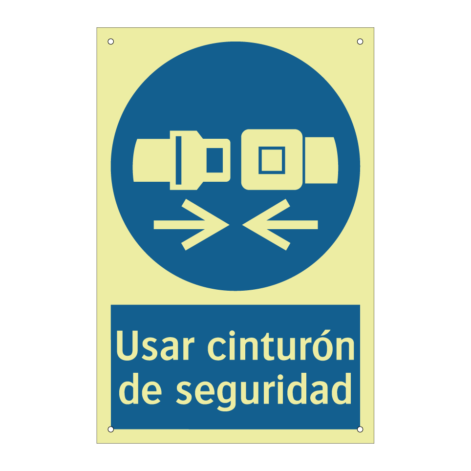Usar cinturón de seguridad
