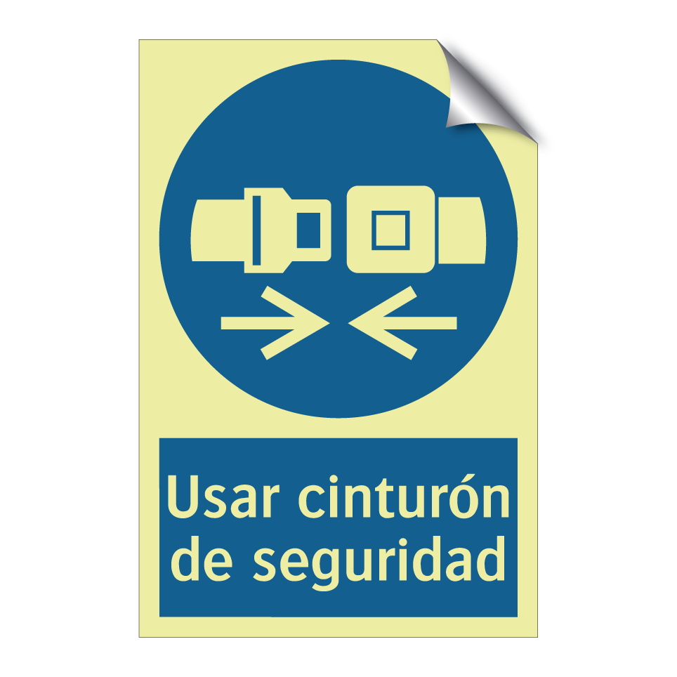 Usar cinturón de seguridad
