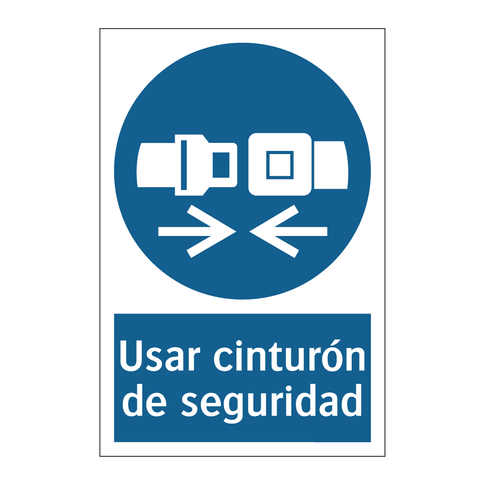 Usar cinturón de seguridad