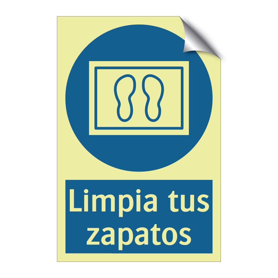 Limpia tus zapatos