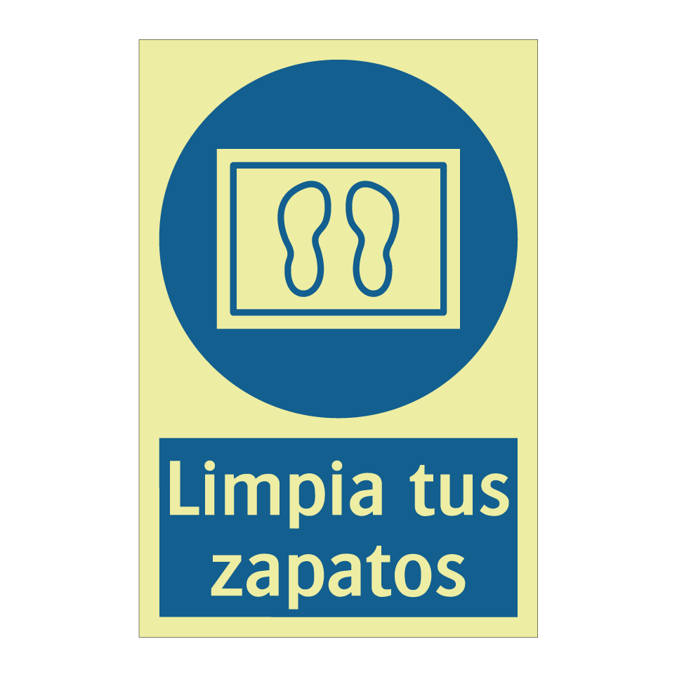 Limpia tus zapatos