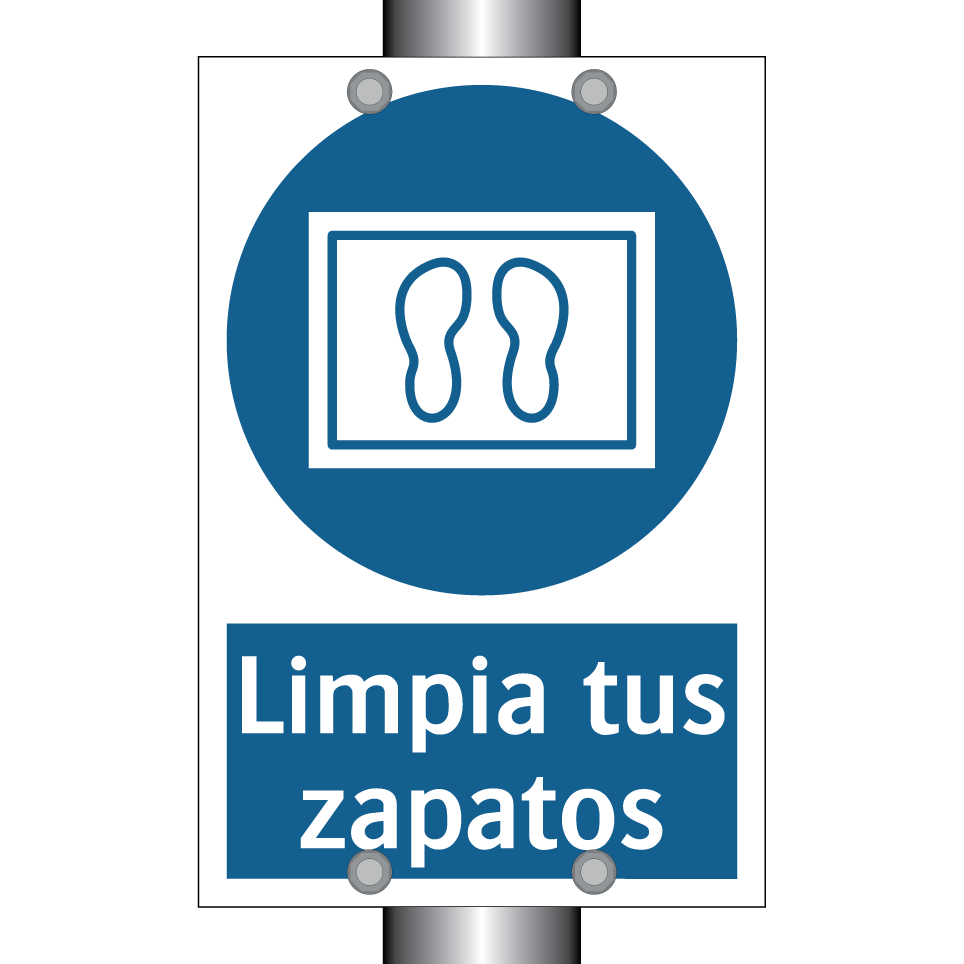 Limpia tus zapatos