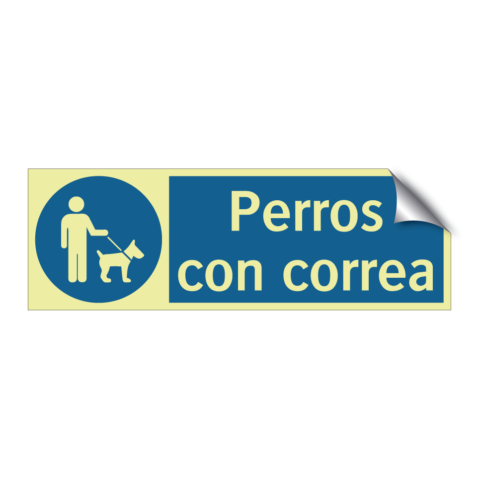 Perros con correa