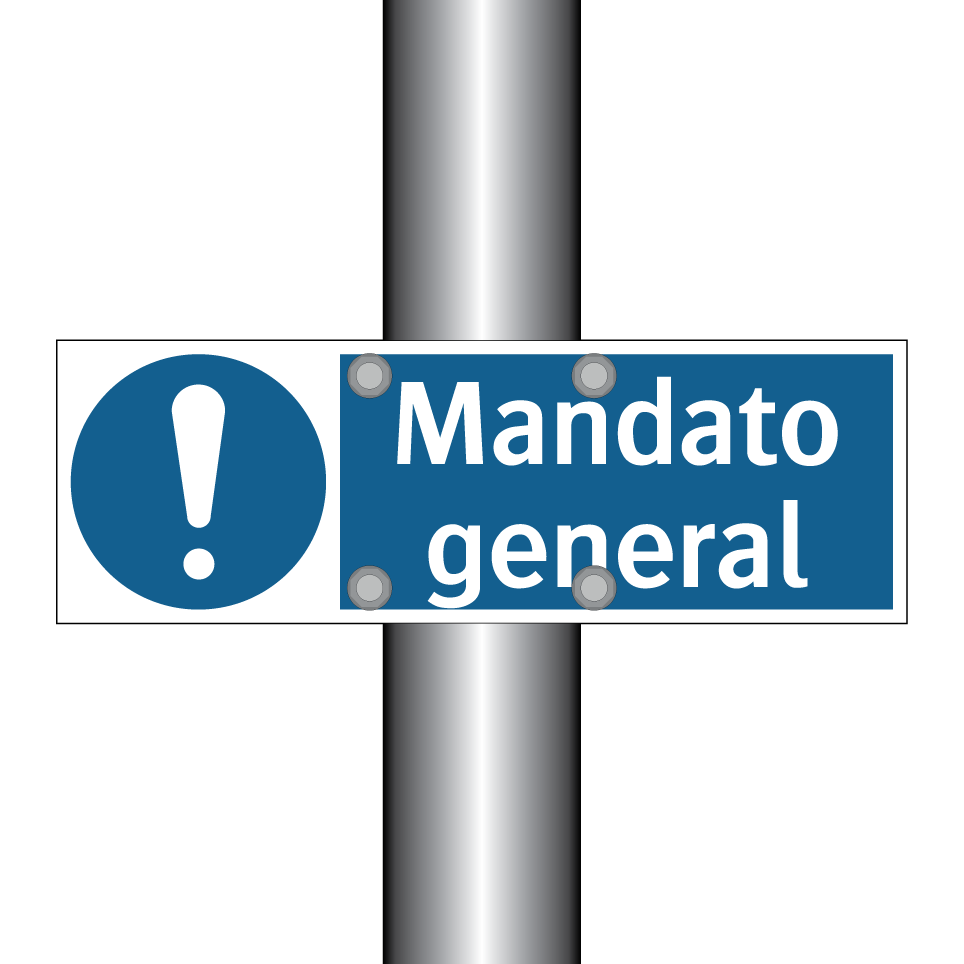 Mandato general
