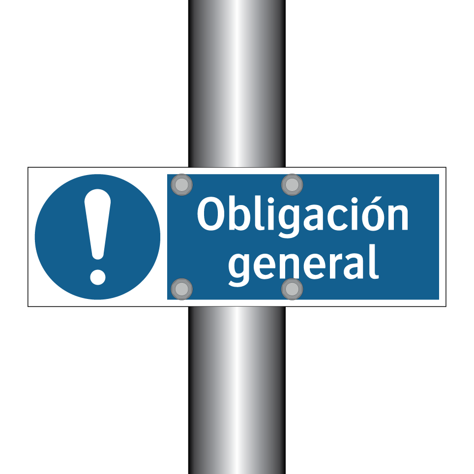 Obligación general