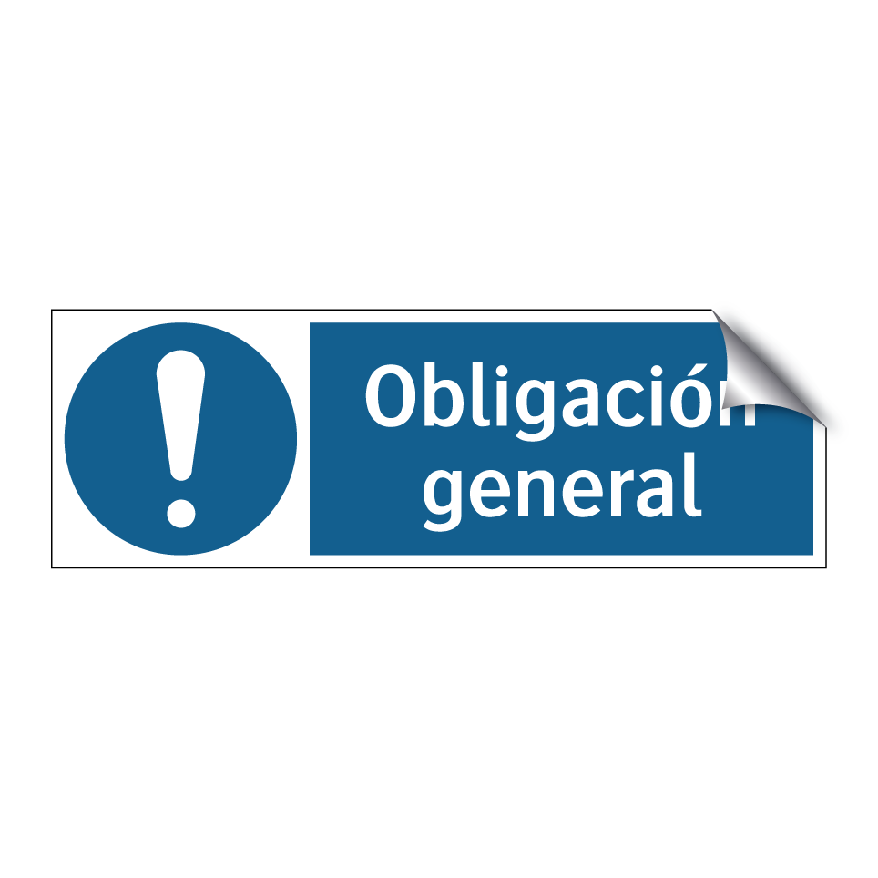 Obligación general