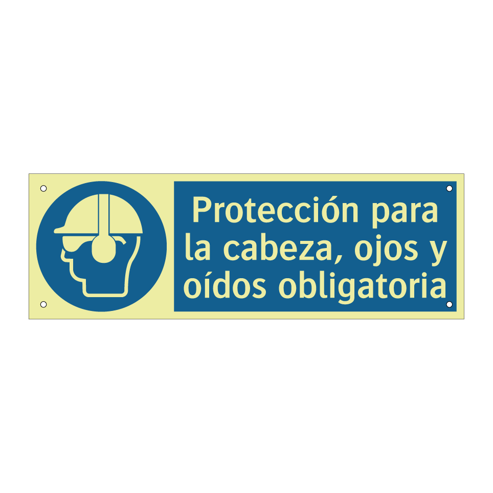 Protección para la cabeza, ojos y oídos obligatoria