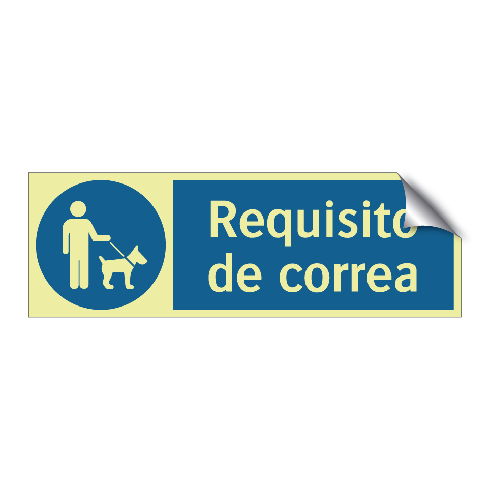 Requisito de correa