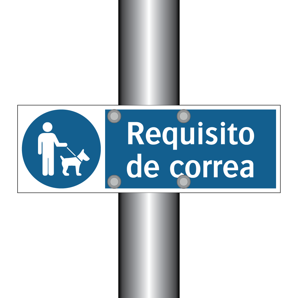Requisito de correa
