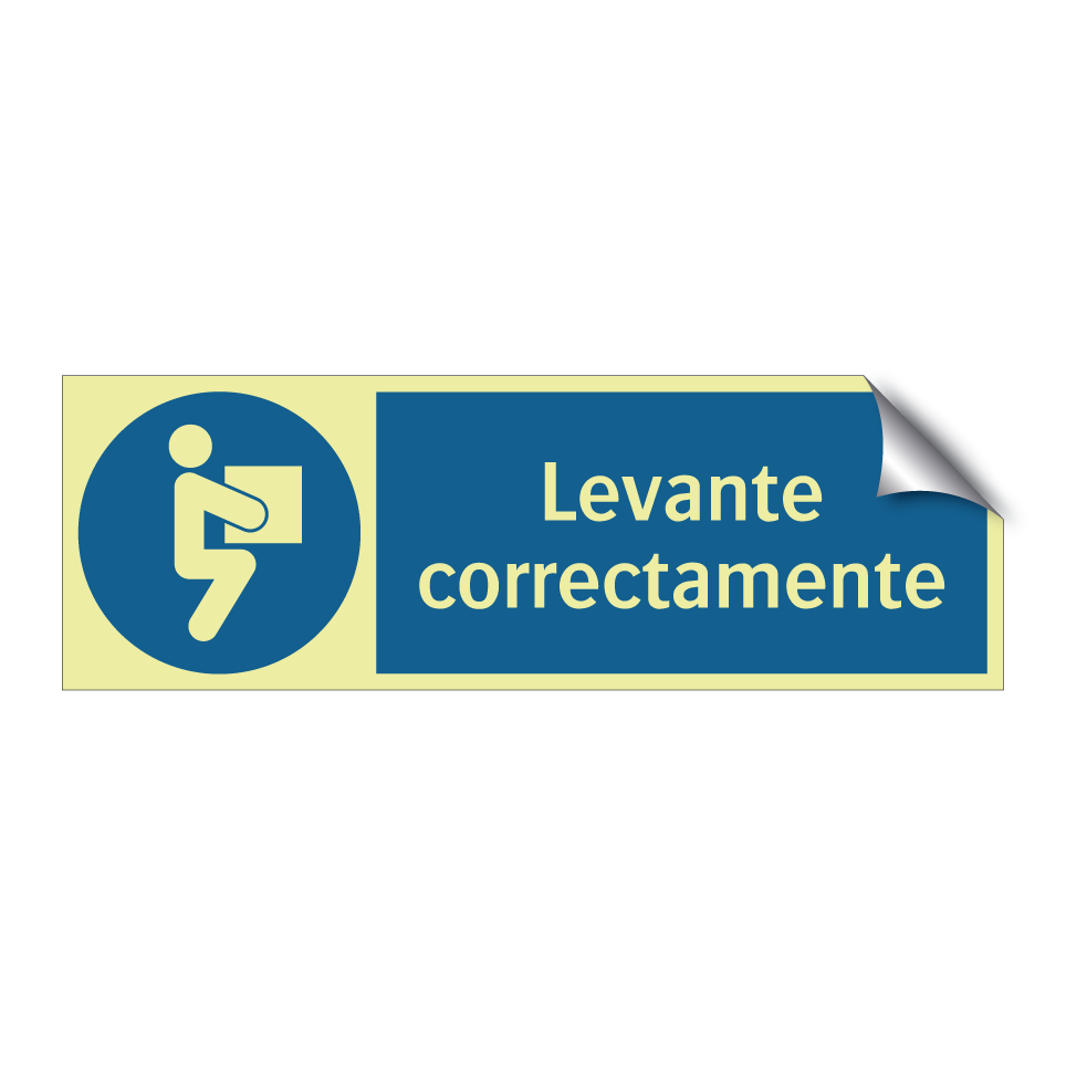 Levante correctamente