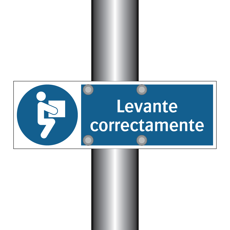 Levante correctamente