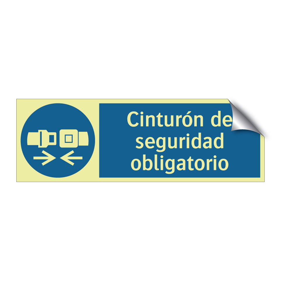 Cinturón de seguridad obligatorio