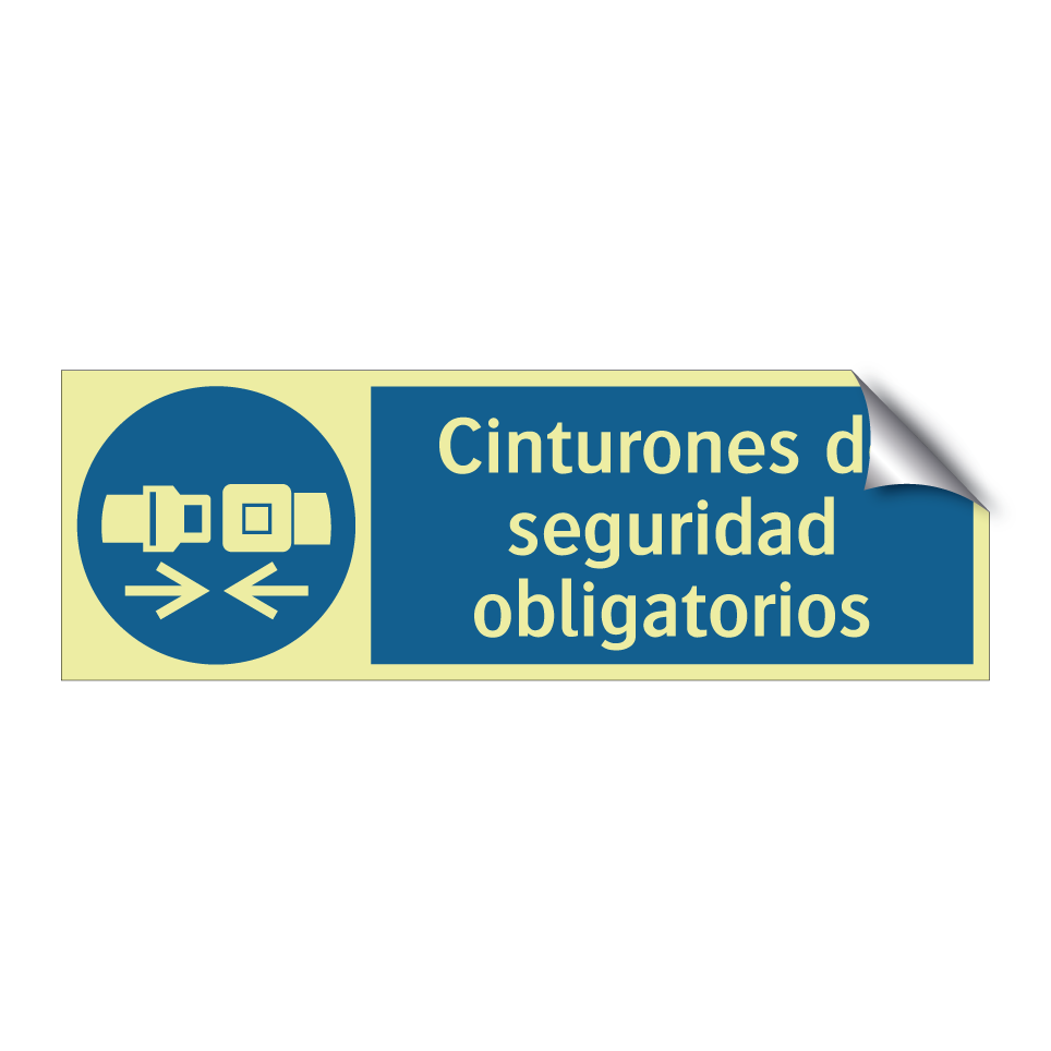 Cinturones de seguridad obligatorios