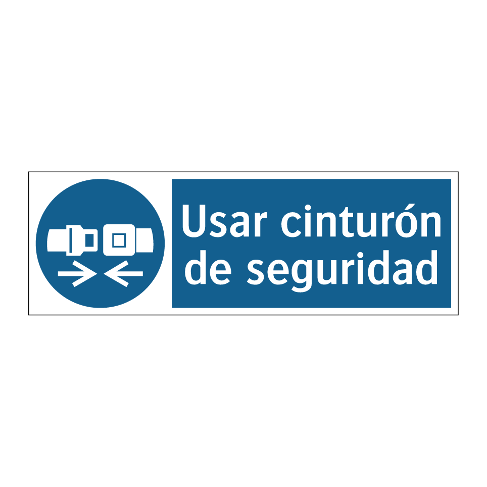 Usar cinturón de seguridad