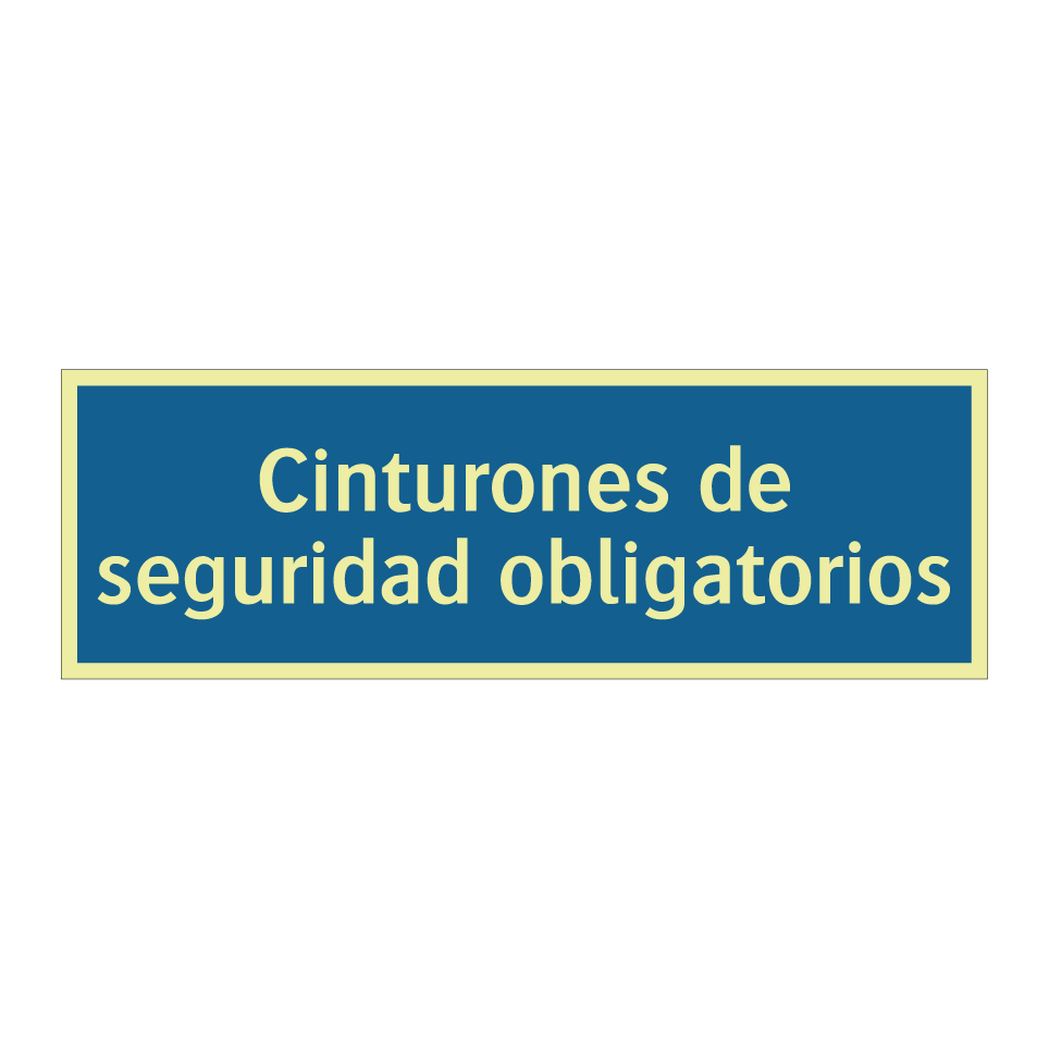 Cinturones de seguridad obligatorios