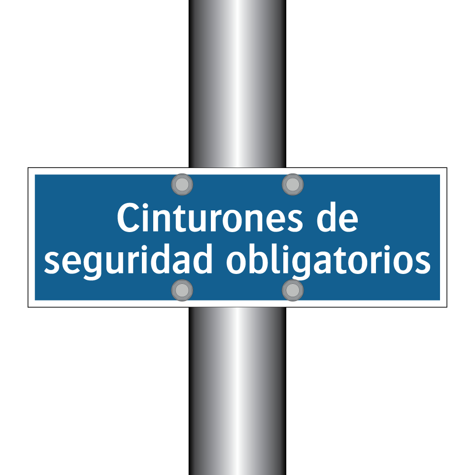 Cinturones de seguridad obligatorios