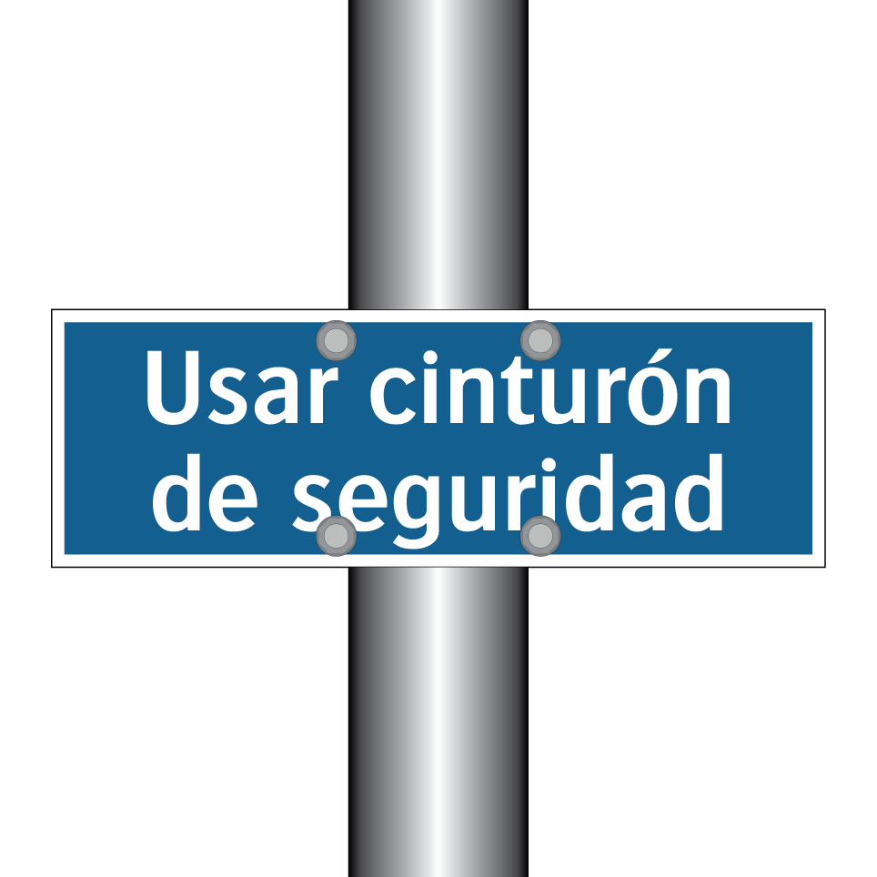 Usar cinturón de seguridad
