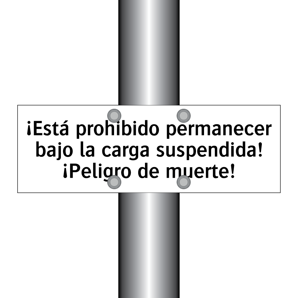 ¡Está prohibido permanecer bajo la carga suspendida! ¡Peligro de muerte!