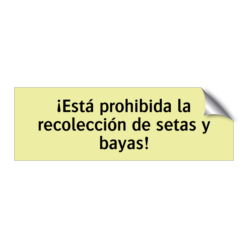 ¡Está prohibida la recolección de setas y bayas!
