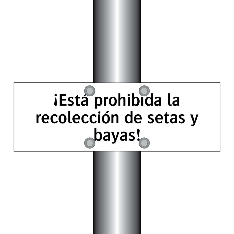 ¡Está prohibida la recolección de setas y bayas!