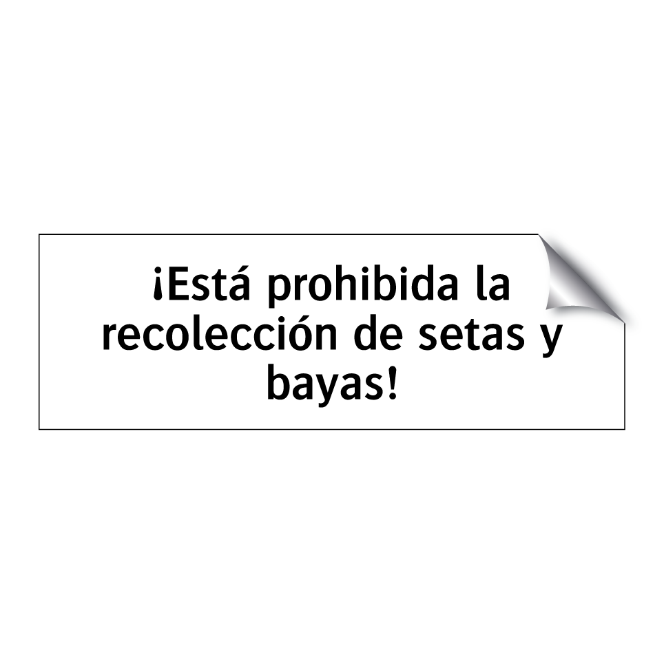 ¡Está prohibida la recolección de setas y bayas!