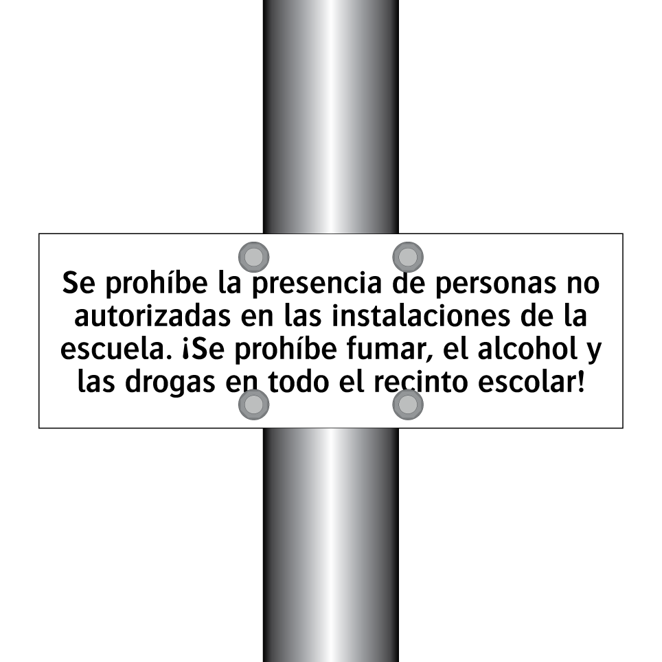 Se prohíbe la presencia de personas no autorizadas en las instalaciones de la escuela. ¡Se prohíbe fumar, el alcohol y las drogas en todo el recinto escolar!