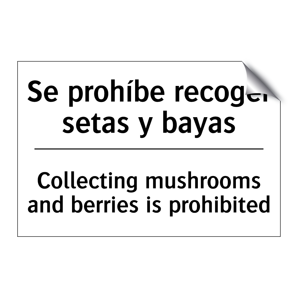 Se prohíbe recoger setas y bayas - Collecting mushrooms and berries is prohibited