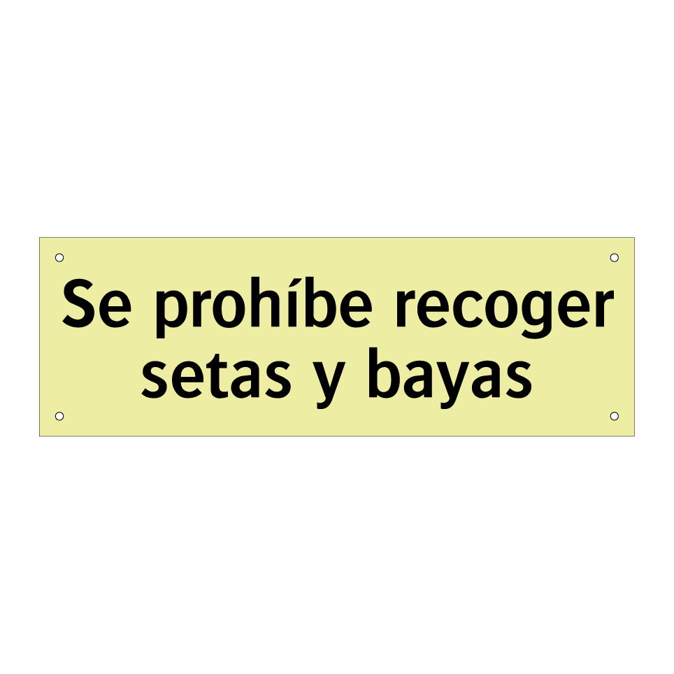 Se prohíbe recoger setas y bayas