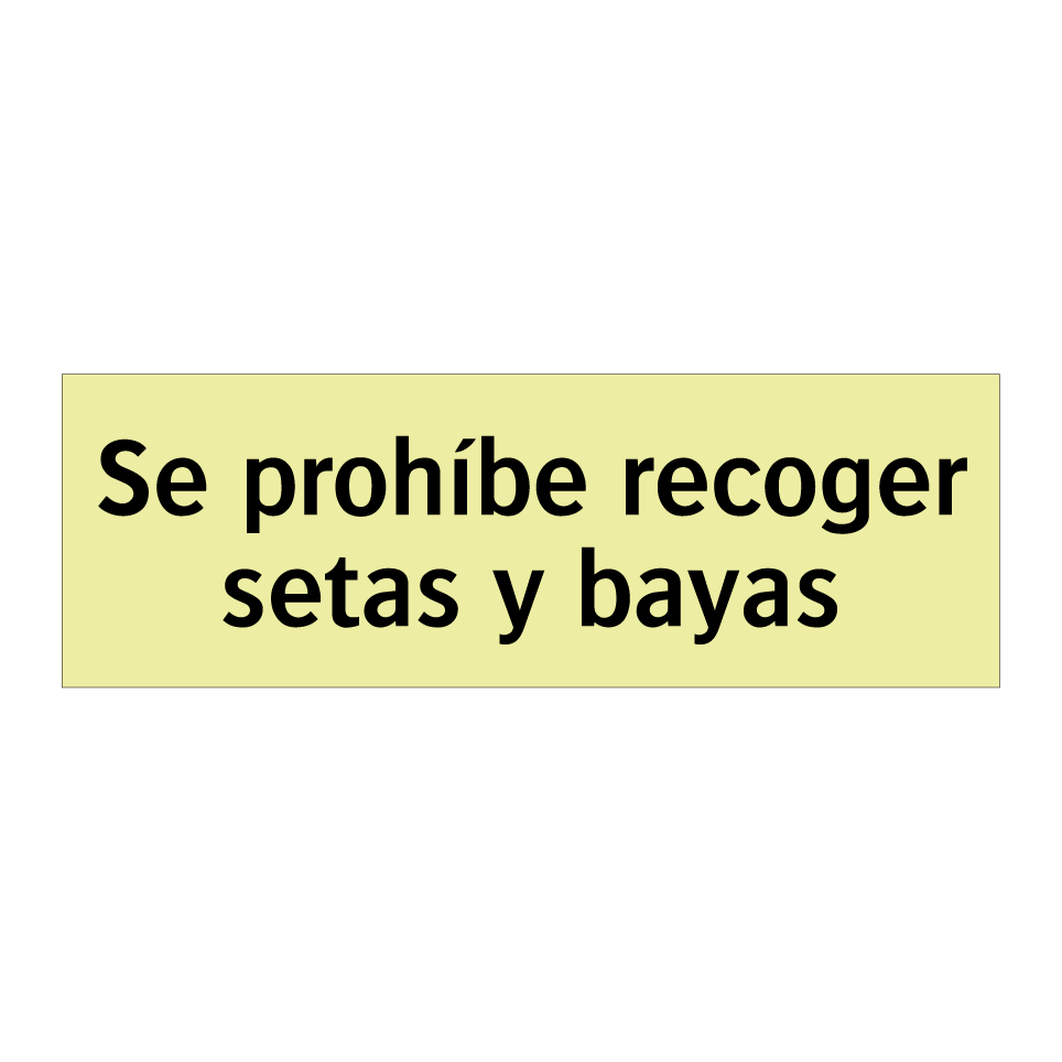 Se prohíbe recoger setas y bayas