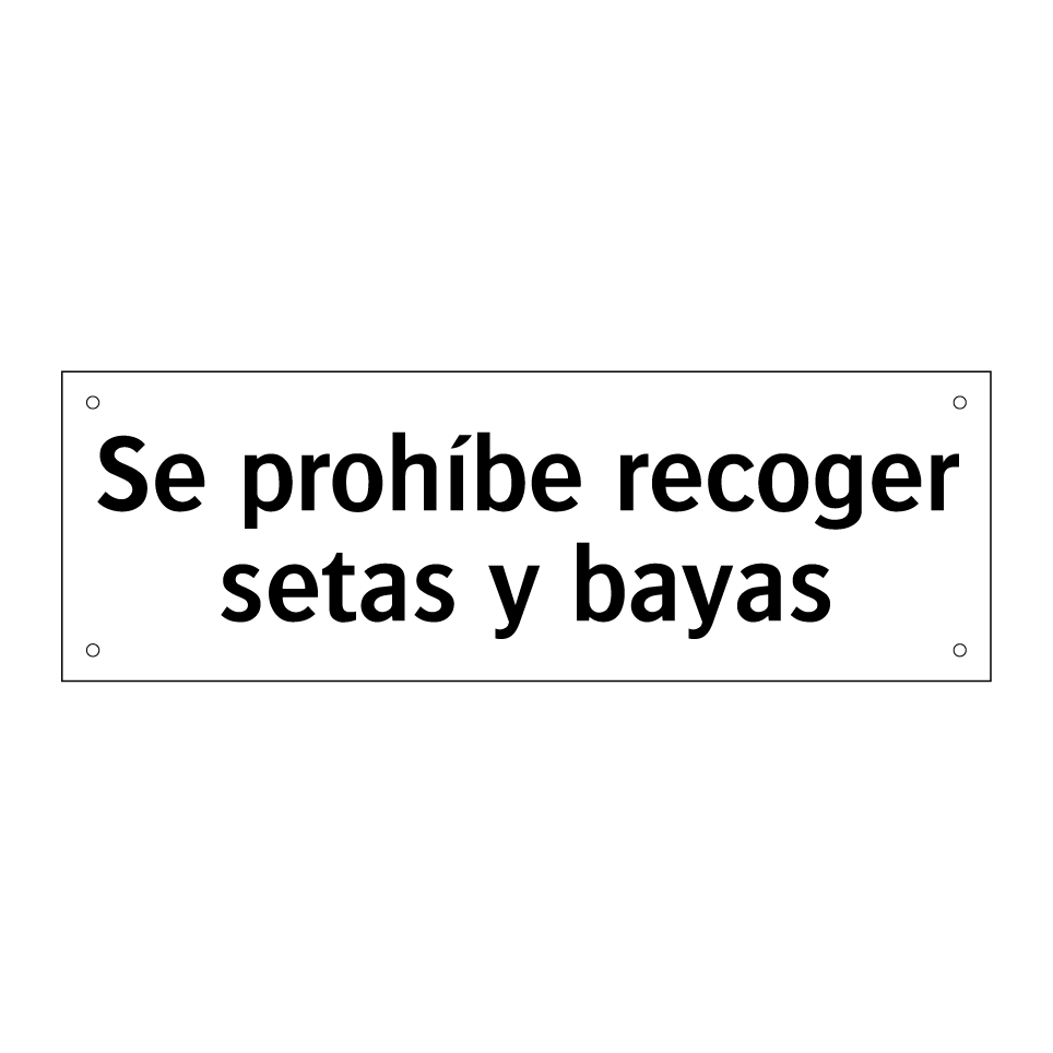 Se prohíbe recoger setas y bayas