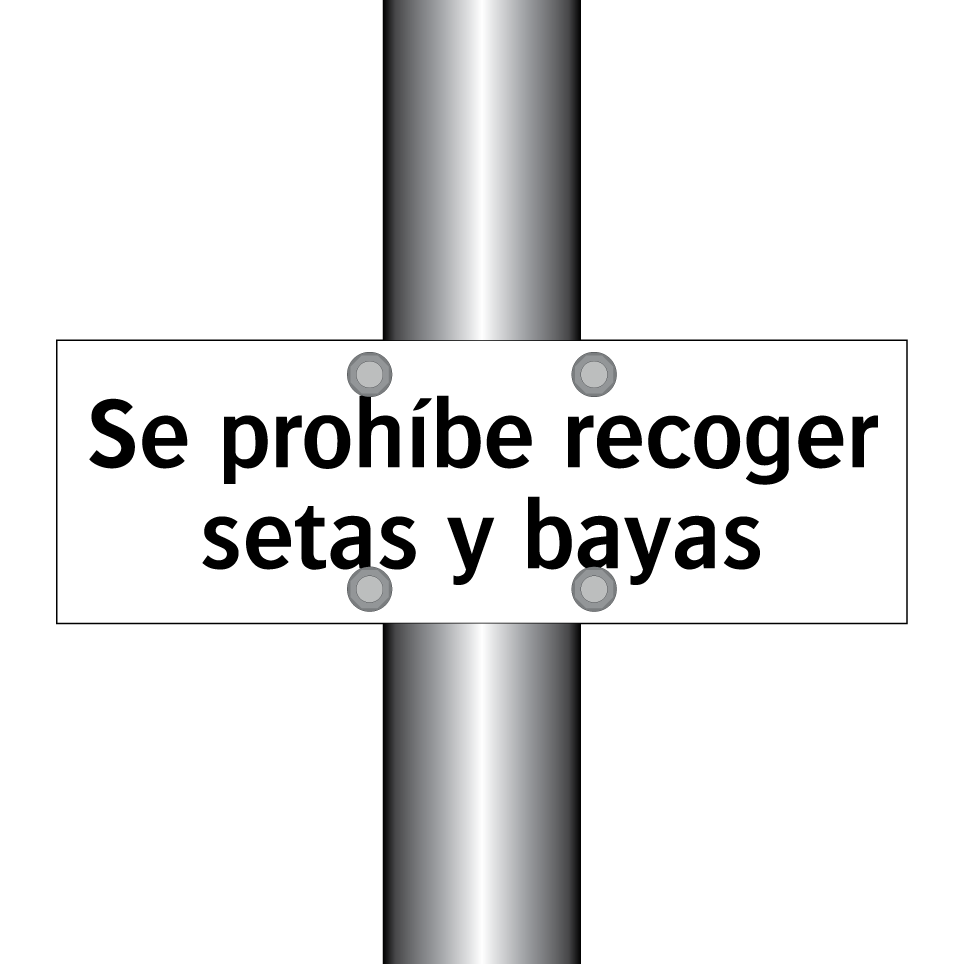 Se prohíbe recoger setas y bayas