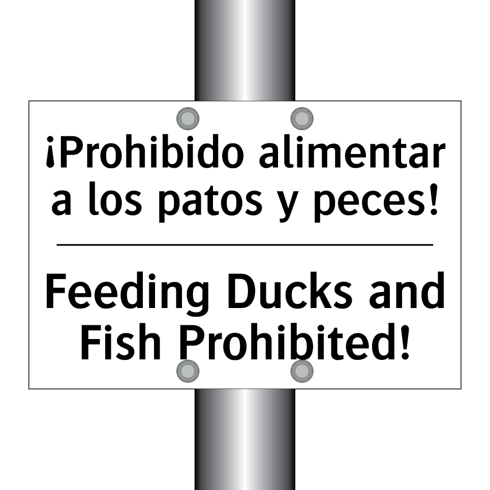 ¡Prohibido alimentar a los patos y peces! - Feeding Ducks and Fish Prohibited!
