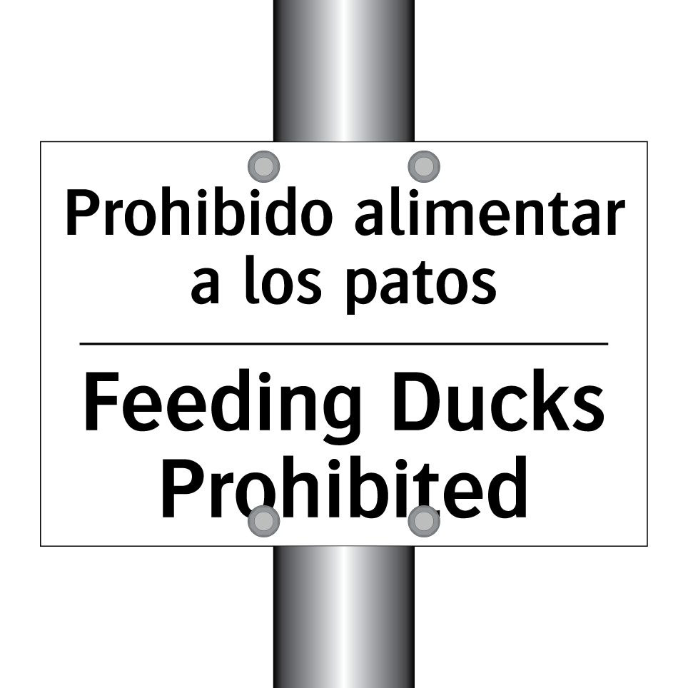 Prohibido alimentar a los patos - Feeding Ducks Prohibited