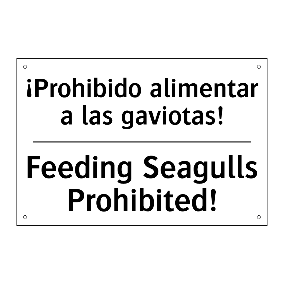 ¡Prohibido alimentar a las gaviotas! - Feeding Seagulls Prohibited!