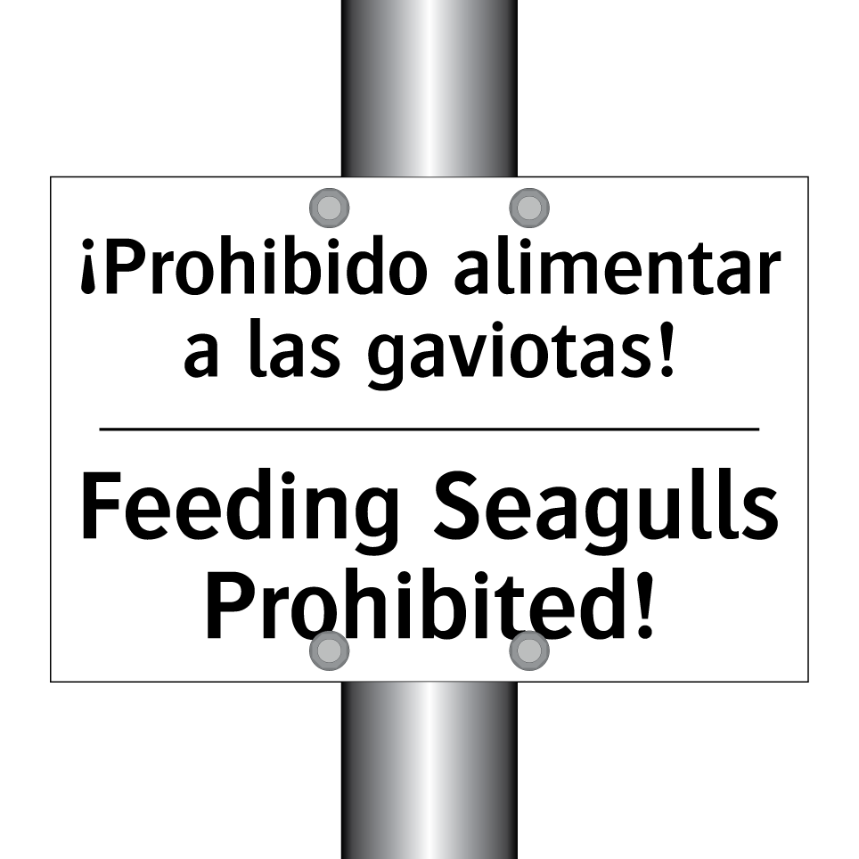 ¡Prohibido alimentar a las gaviotas! - Feeding Seagulls Prohibited!