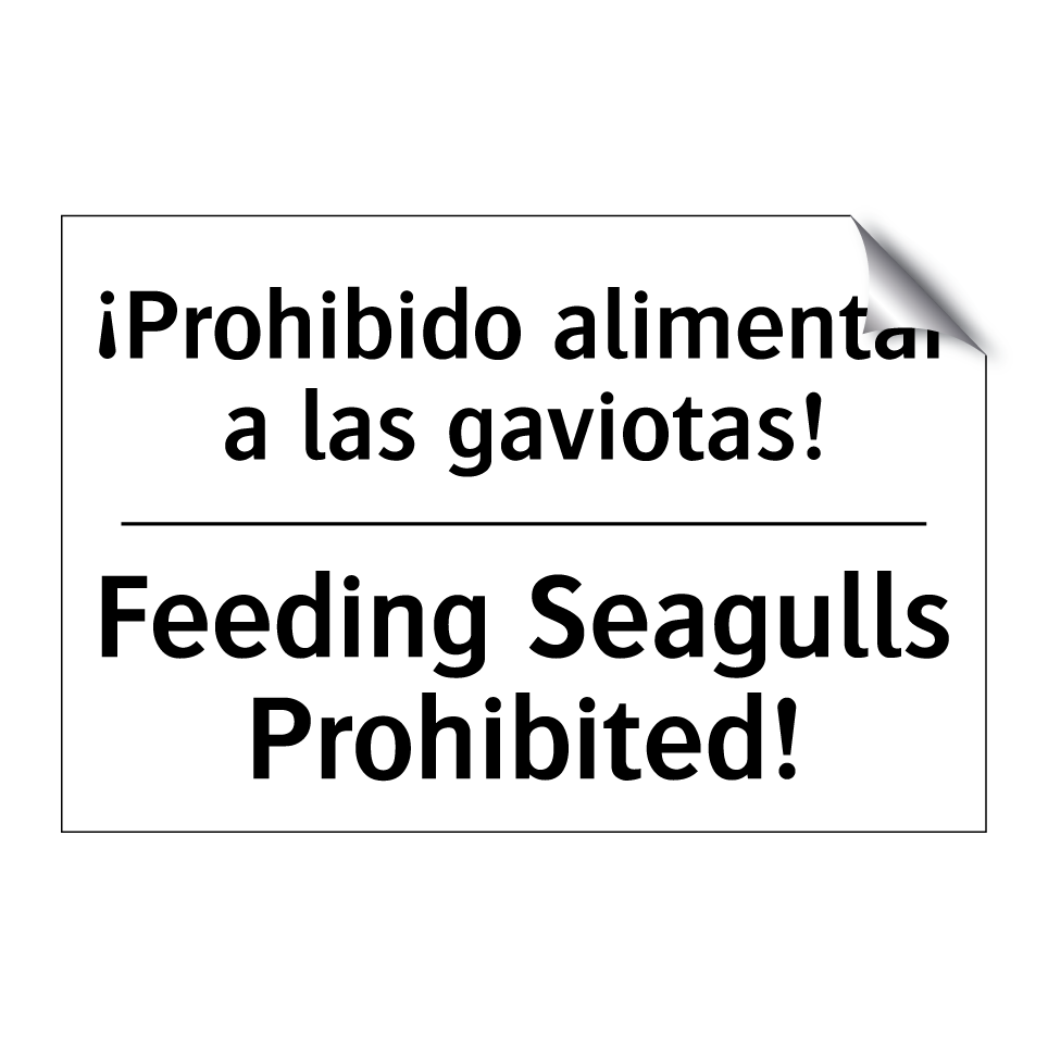 ¡Prohibido alimentar a las gaviotas! - Feeding Seagulls Prohibited!