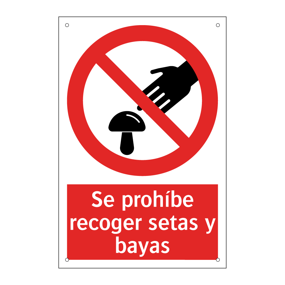 Se prohíbe recoger setas y bayas