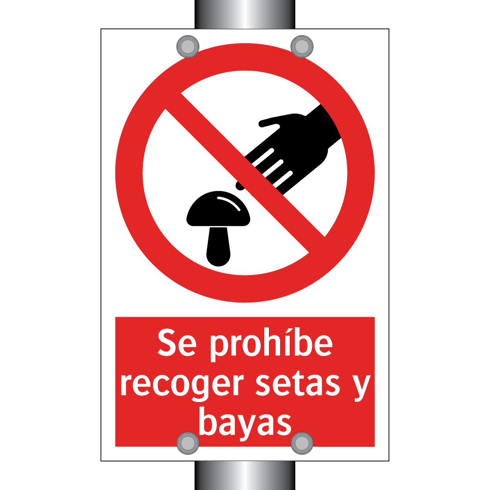 Se prohíbe recoger setas y bayas