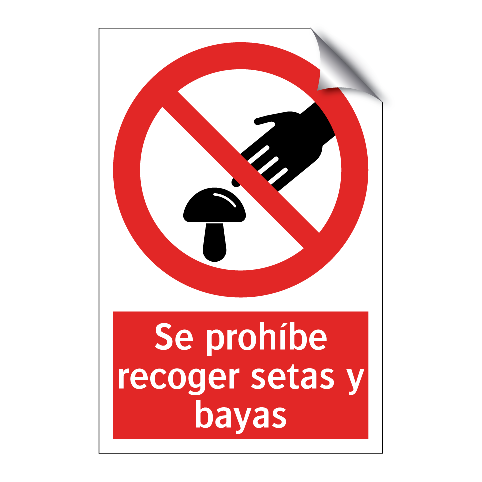 Se prohíbe recoger setas y bayas