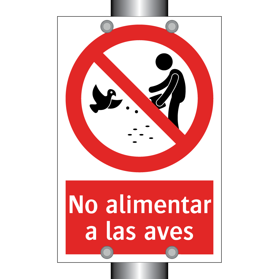No alimentar a las aves