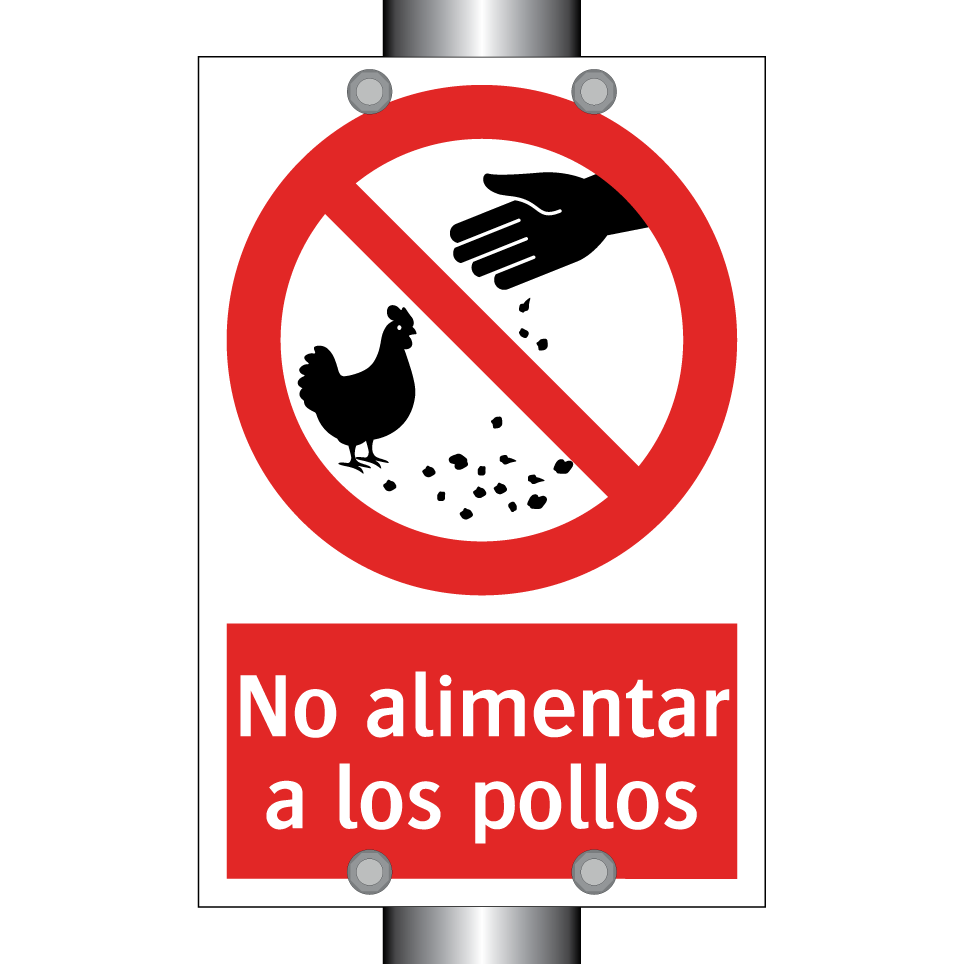 No alimentar a los pollos