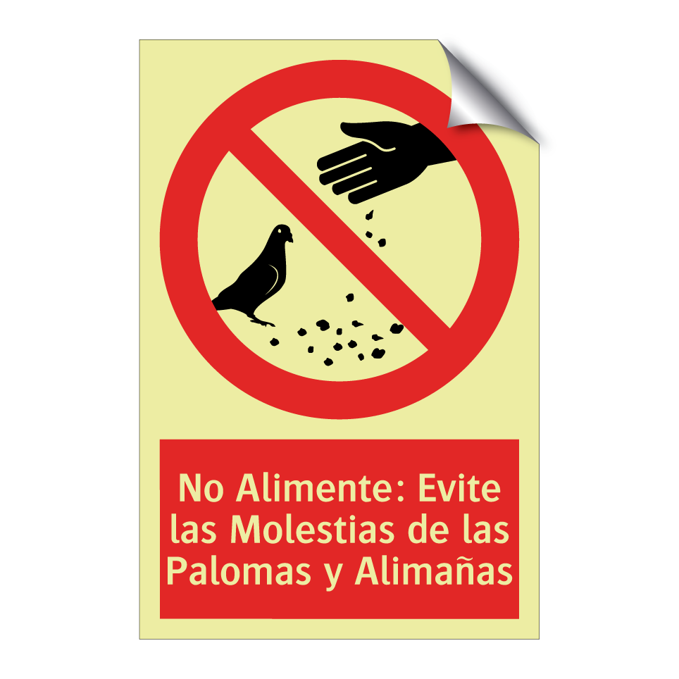 No Alimente: Evite las Molestias de las Palomas y Alimañas